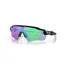 Oakley Radar Ev Path OO-9208-44 In Prizm Golf Lenses/Polished Black Frame