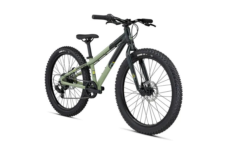 2021 RAMONES 24 GREEN -1