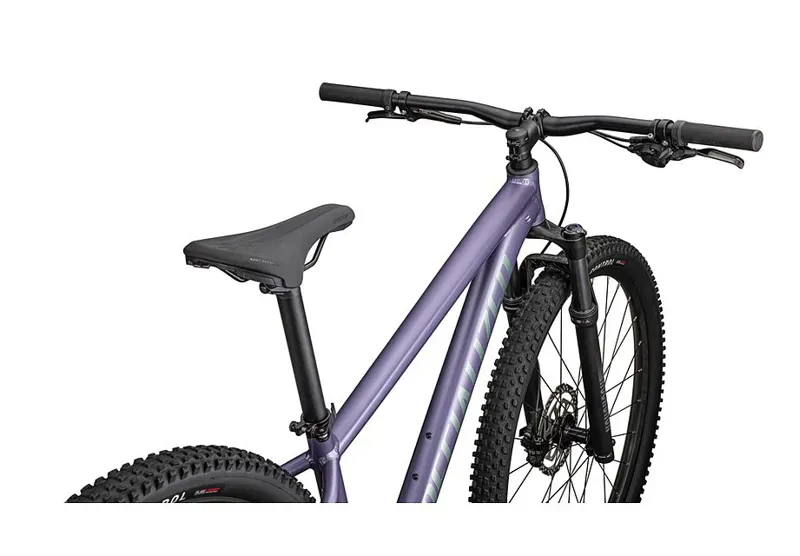 Specialized Rockhopper Comp Mountain Bike in Mauve/Fjord-4