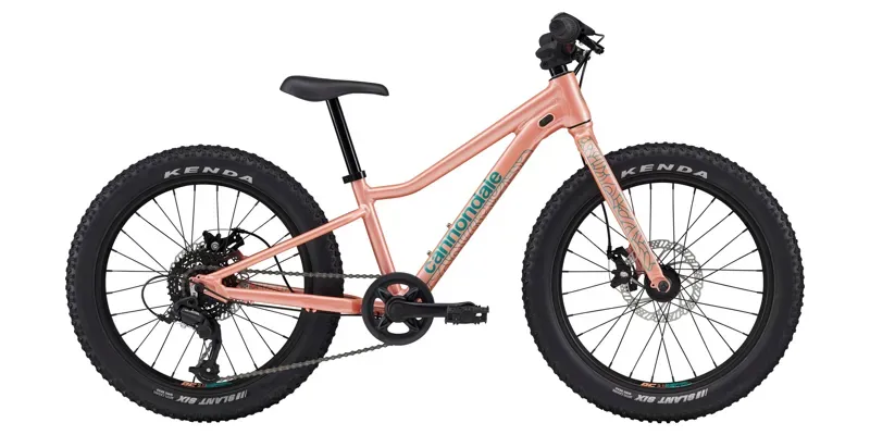 2022 Cannondale Kids Trail Plus 20 Mountain Bike in Salmon