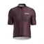 Adicta Lab Nucleus Short Sleeved Jersey in BMC/Wine/White