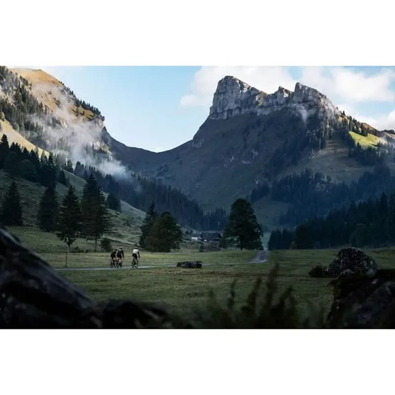 DT Swiss E 1800 Spline 23 700c 12x142 HG11 Rd Disc Rear Wheel in Black-3