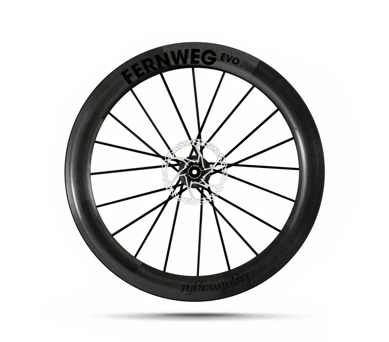 Lightweight Fernweg 63 SE Evo Pro Disc Brake Wheelset -2