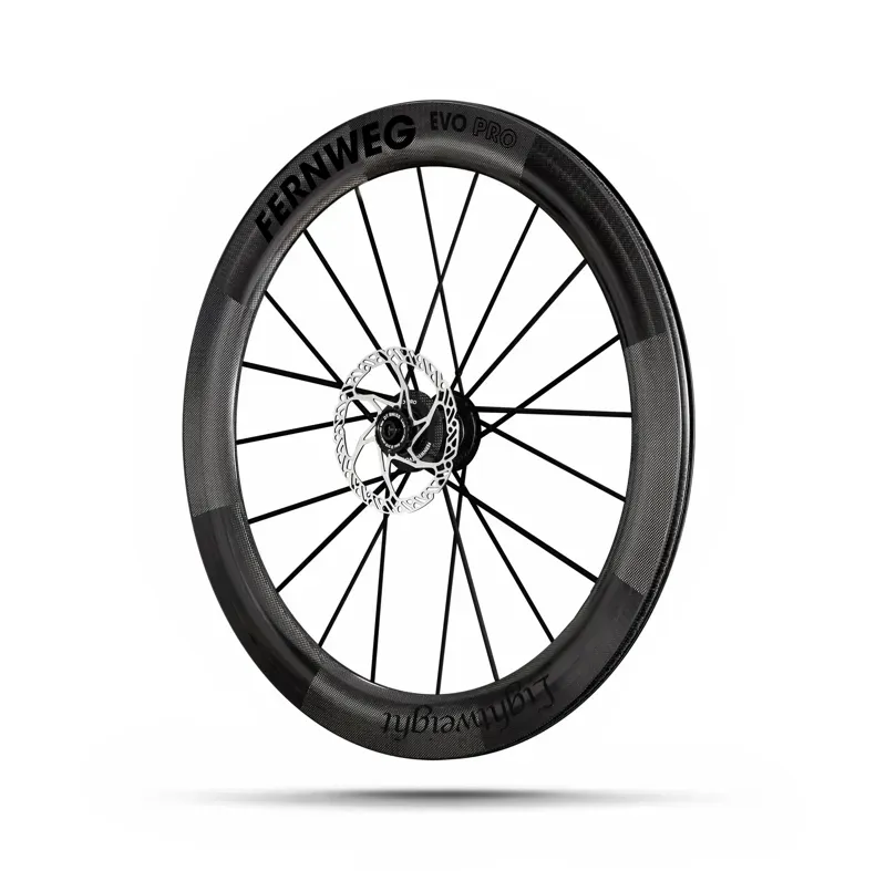 Lightweight Fernweg 63 SE Evo Pro Disc Brake Wheelset -3