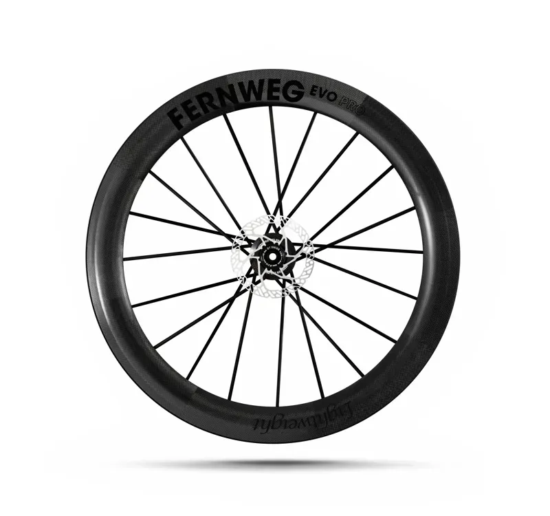 Lightweight Fernweg 63 SE Evo Pro Disc Brake Wheelset -4
