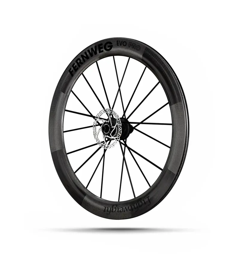 Lightweight Fernweg 63 SE Evo Pro Disc Brake Wheelset -5