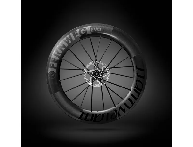 Lightweight Lighweight Fernweg 85 Evo Disc Brake Road Wheelset Schwartz Ed