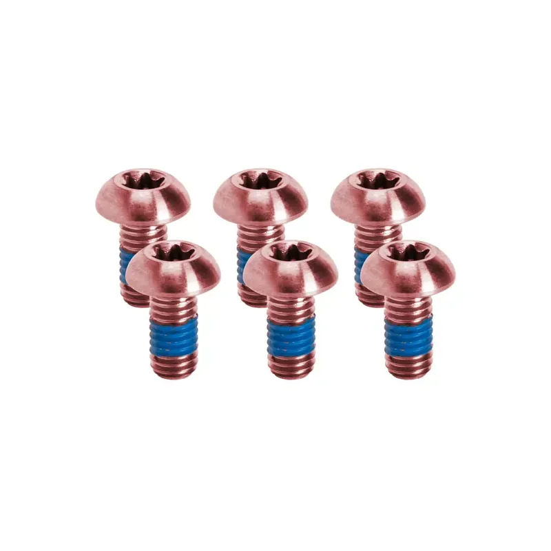 Kogel Titanium Bolt Kits / Rotor-6