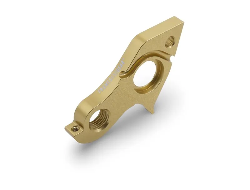 Framesandgear Pinarello Dogma 2025 Derailleur Hanger SRAM-2