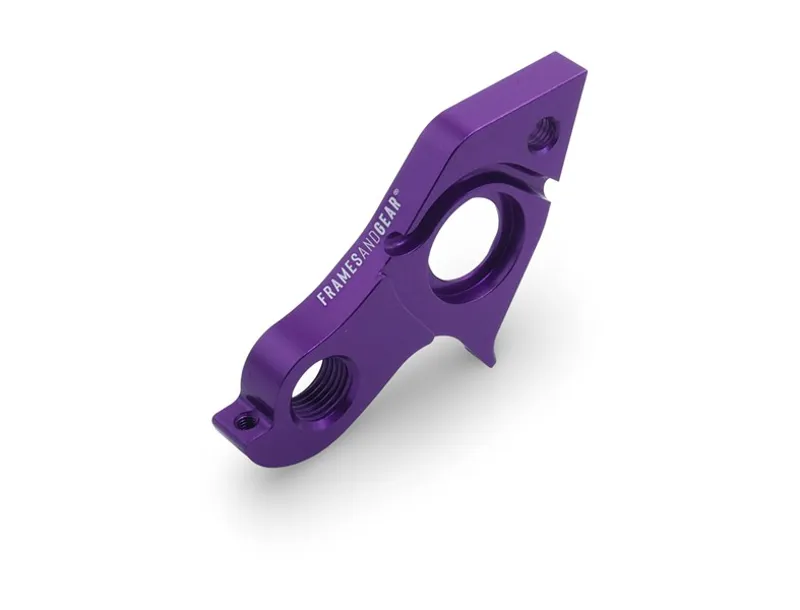 Framesandgear Pinarello Dogma 2025 Derailleur Hanger SRAM-8