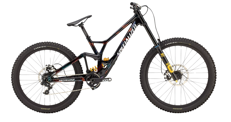 Specialized Demo Race Downhill Bike 2025