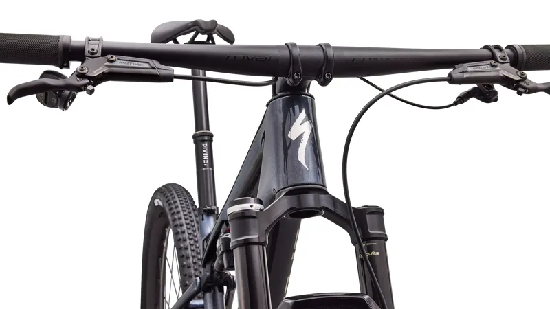 Specialized Epic 9 Pro CARBON/ CHAOS GLITTER / CHROME-4