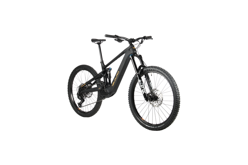 Velduro Rogue X Electric Mountian Bike -1