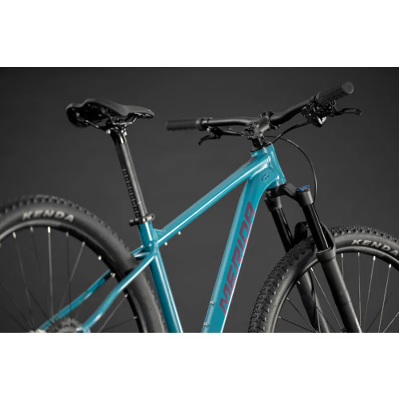 Big Nine 40 - - MY26 Dark Teal Purple-5