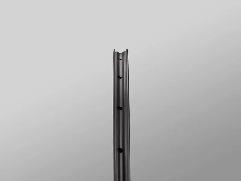 Reserve Wheels 30 GR AL Gravel Wheelset - DT 350-2