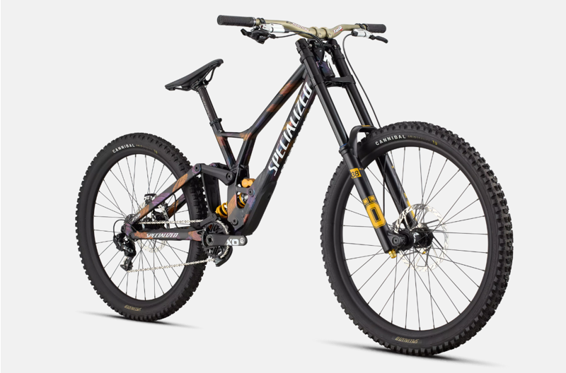 Specialized Demo Race Downhill Bike 2025-1