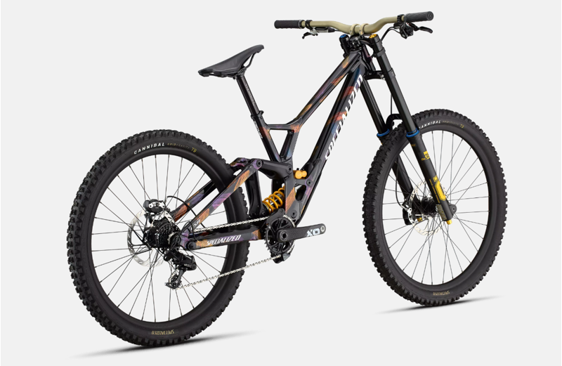 Specialized Demo Race Downhill Bike 2025-2