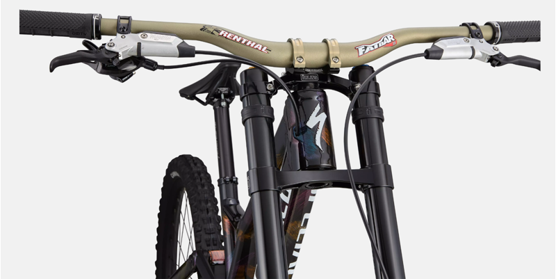 Specialized Demo Race Downhill Bike 2025-4