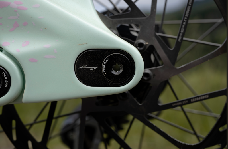 2026 Scott Gambler RC Downhill Mountain Bike-7