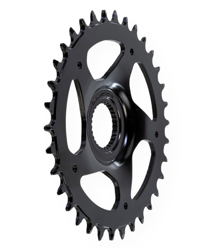 Direct Mount eBike Chainring 3