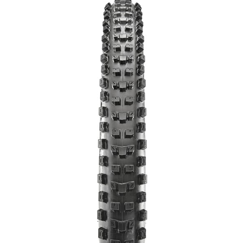 Maxxis Dissector 2 DH Tyre in Black-1