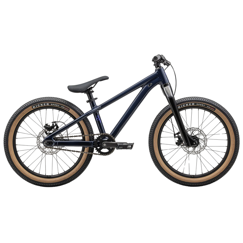 Specialized P.1 20in Dirt Jump Bike - Blue