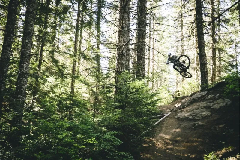 Santa Cruz Vala C MX GX AXS-11