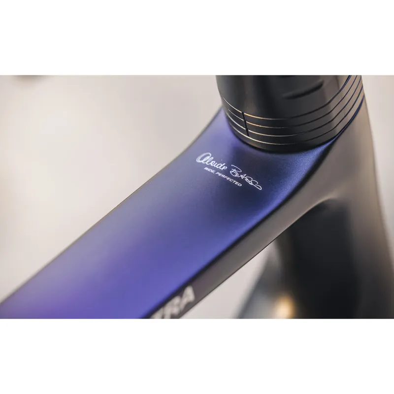 Astra Frameset Chameleon Small CLEARANCE ONLY-3