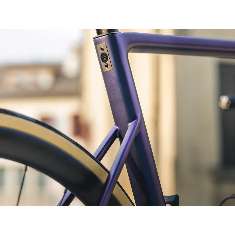 Astra Frameset Chameleon Small CLEARANCE ONLY-4