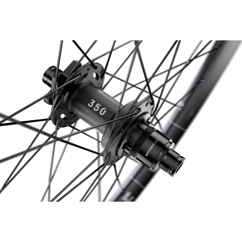 WHEL DT EX17 29x30 BOOST15 FR Black 29 inches-2