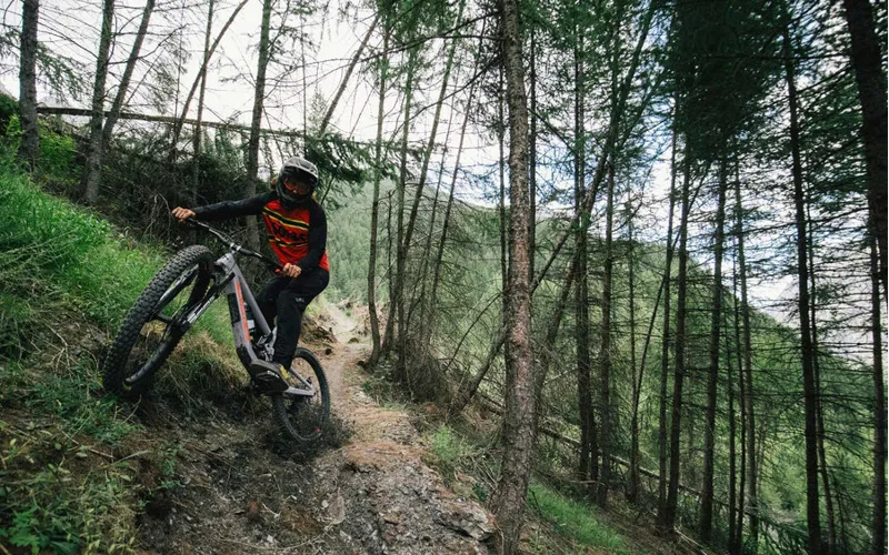 Reserve Wheels 30 HD AL Downhill MTB Wheelset - DT350-2