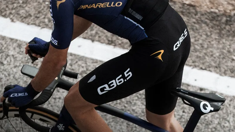 Q36.5 Gregarius Pro Cycling Team Bib Shorts - Black-3