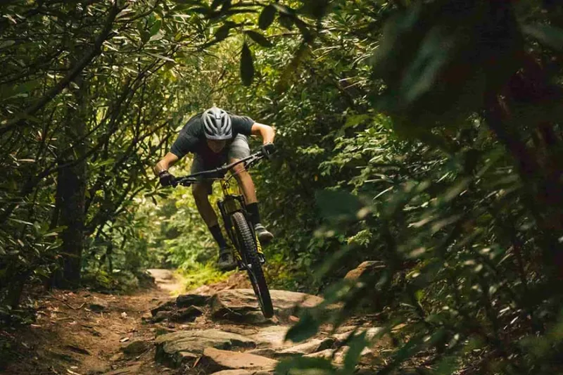 Reserve 30 SL F 30 HD R Fry sauce-2