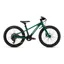 Specialized Riprock 20 Kids Bike in Gloss Pine Green