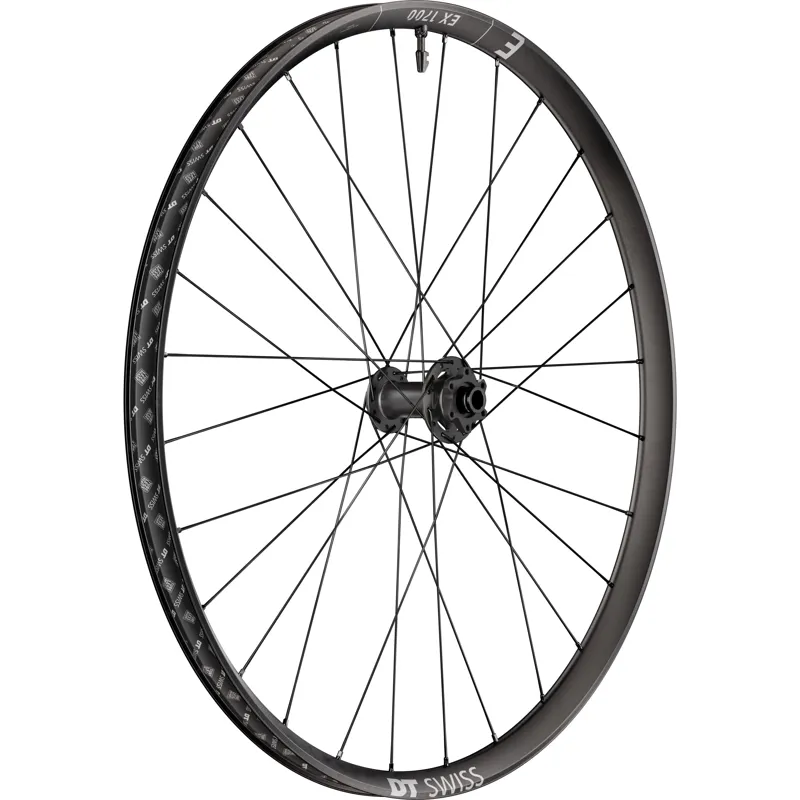 WHEL DT EX17 29x30 BOOST15 FR Black 29 inches