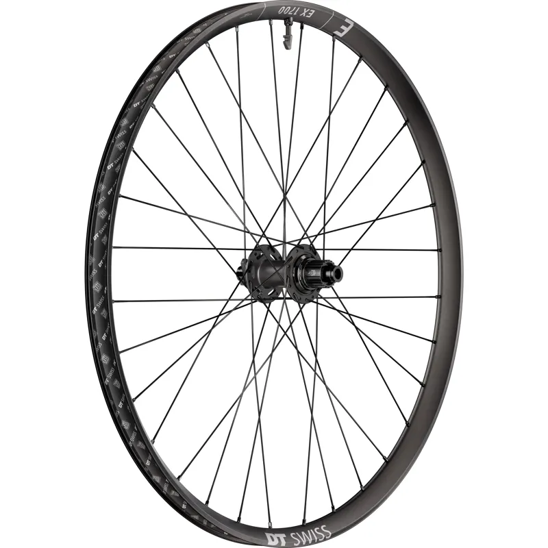 WHEL DT EX17 29x30 BOOST RR XD Black 29 inches