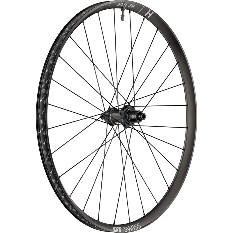 Dt Swiss HX 1700 wheel - 30mm rim - 12x148mm axle - DEG DF - 29 inch rear - MICRO SPLINE