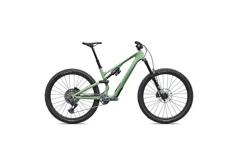 Specialized Stumpjumper 15 EVO Expert AXS Mountain Bike in Pistachio-1