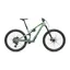 Stumpjumper 15 EVO Expert AXS PISTACHIO/ DARK MOSS GREEN s4 29/29