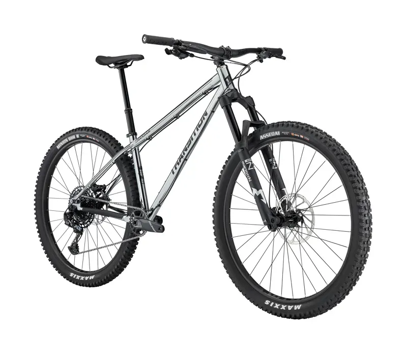 Transition TransAm Steel Hardtail Mountain Bike - Chrome-1