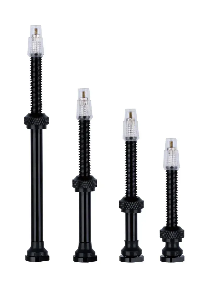 Vision Tubeless Valves in Black