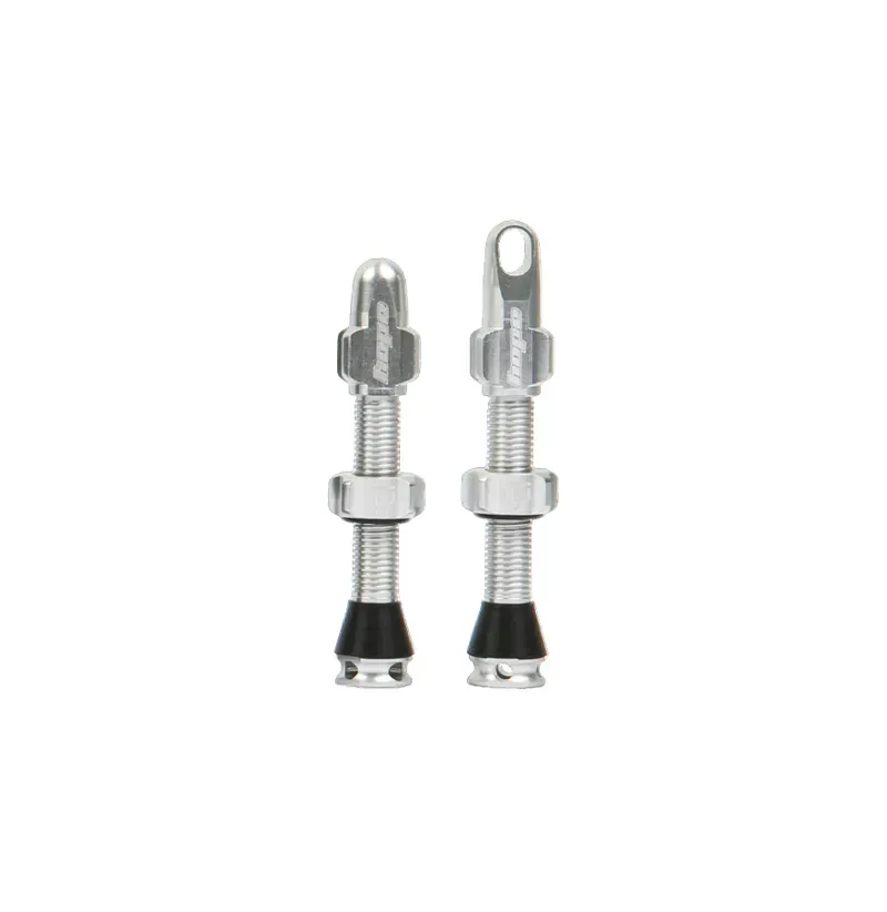 Tubeless Valve Pair - 60mm - Silver